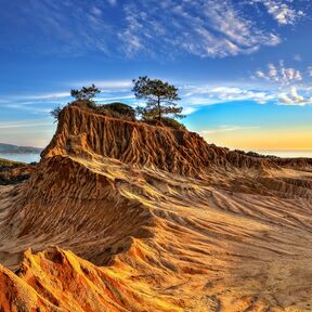 Blick auf die faszinierenden Klippen im Torrey Pines State Natural Reserve bei San Diego in Kalifornien