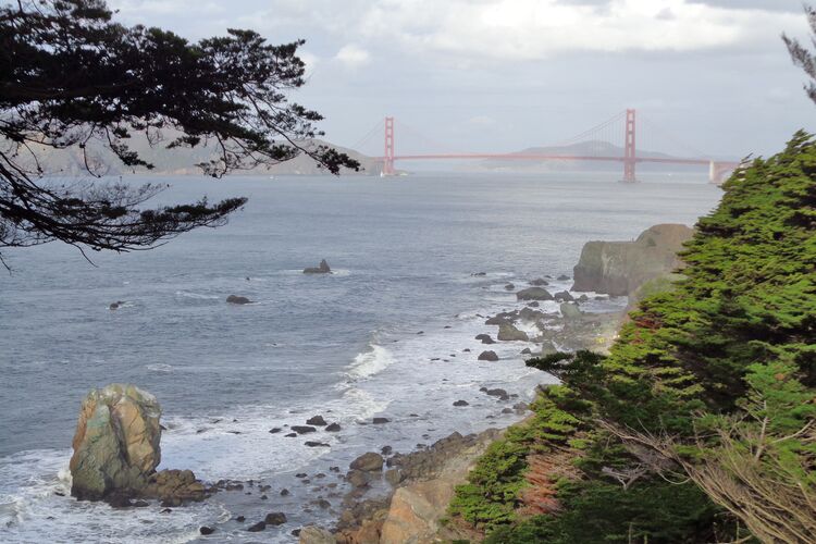 Der Coastal Trail in den Marin Headlands - San Francisco