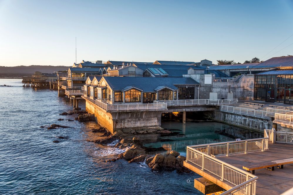 Das Monterey Bay Aquarium in Kalifornien