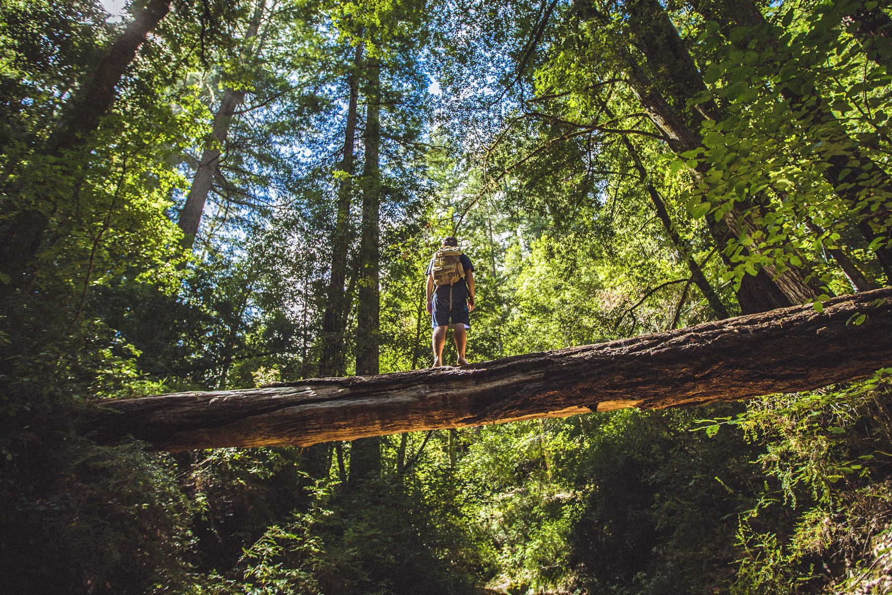 Unterwegs im Big Basin Redwoods State Park in San JosÃ©