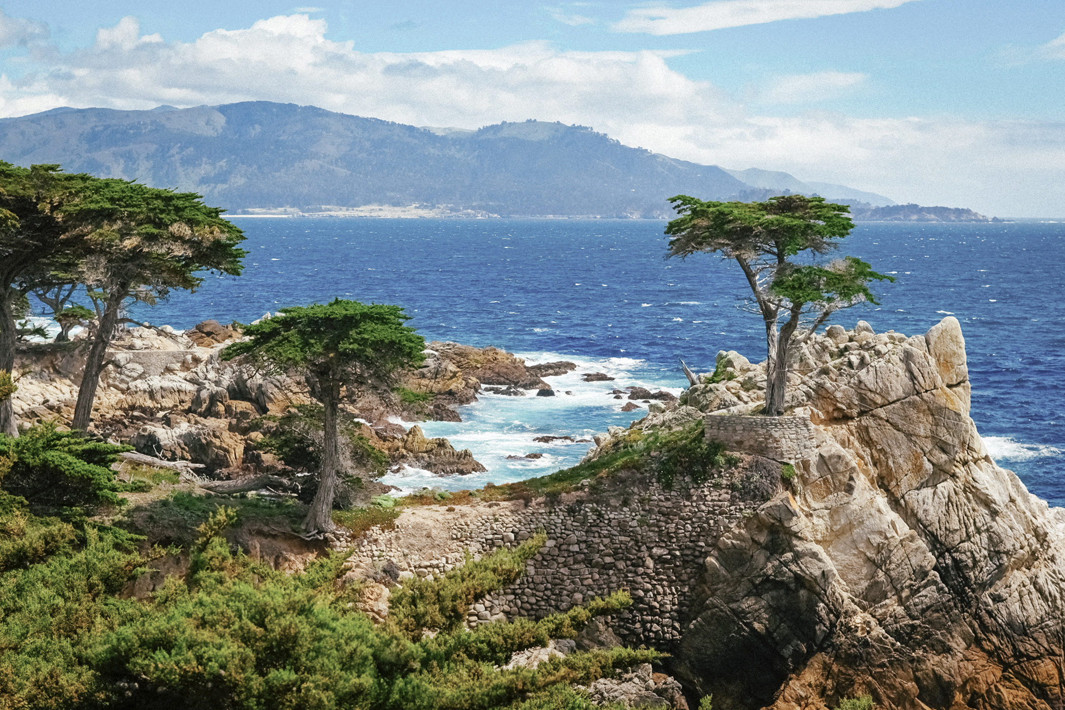 Die "Lone Cypress" am 17-Mile Drive an der Küste von Monterey