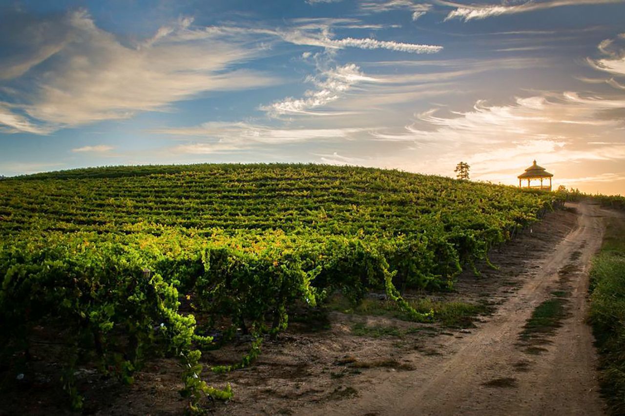 Das Weingut der Bargetto Winery in Santa Cruz