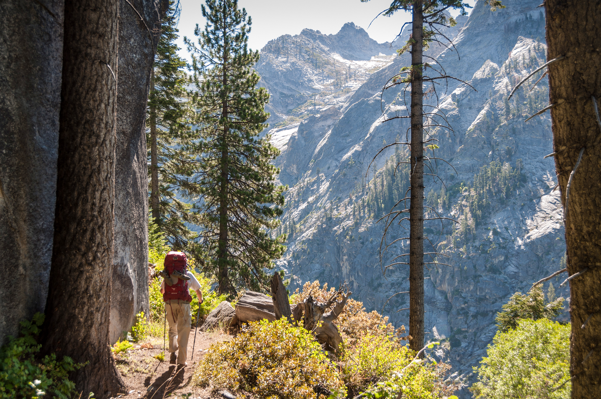 Ein Wanderer im Sequioa National Park