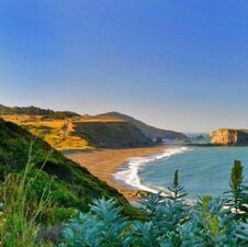 regionen/usa/suedwesten/kalifornien/sonoma-county/coastline.cr607x603-23x0 regionen/usa/suedwesten/kalifornien/sonoma-county/coastline.cr607x603-23x0