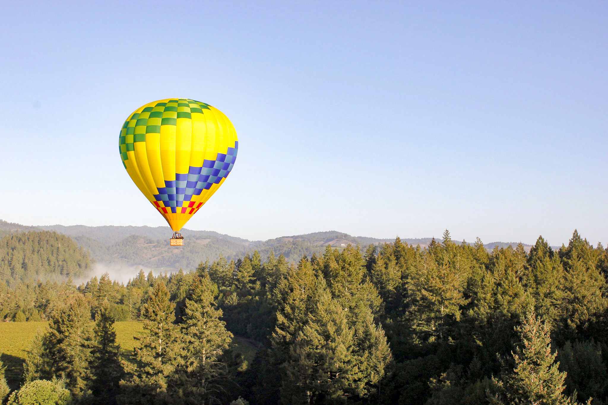 Ein HeiÃŸluftbalon Ã¼ber den WÃ¤ldern von Sonoma County