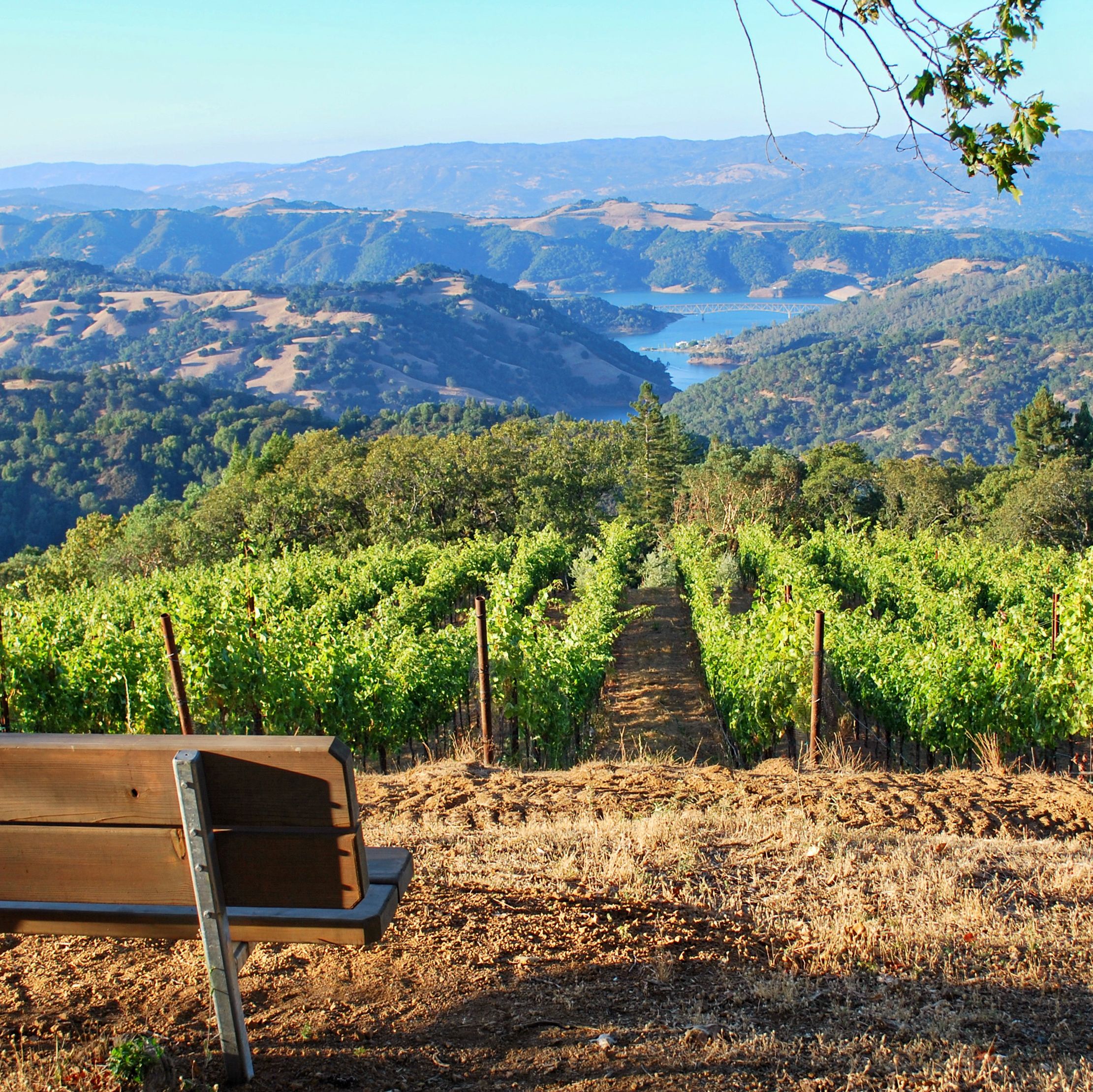 Malerische Weinberge im Sonoma County, Kalifornien