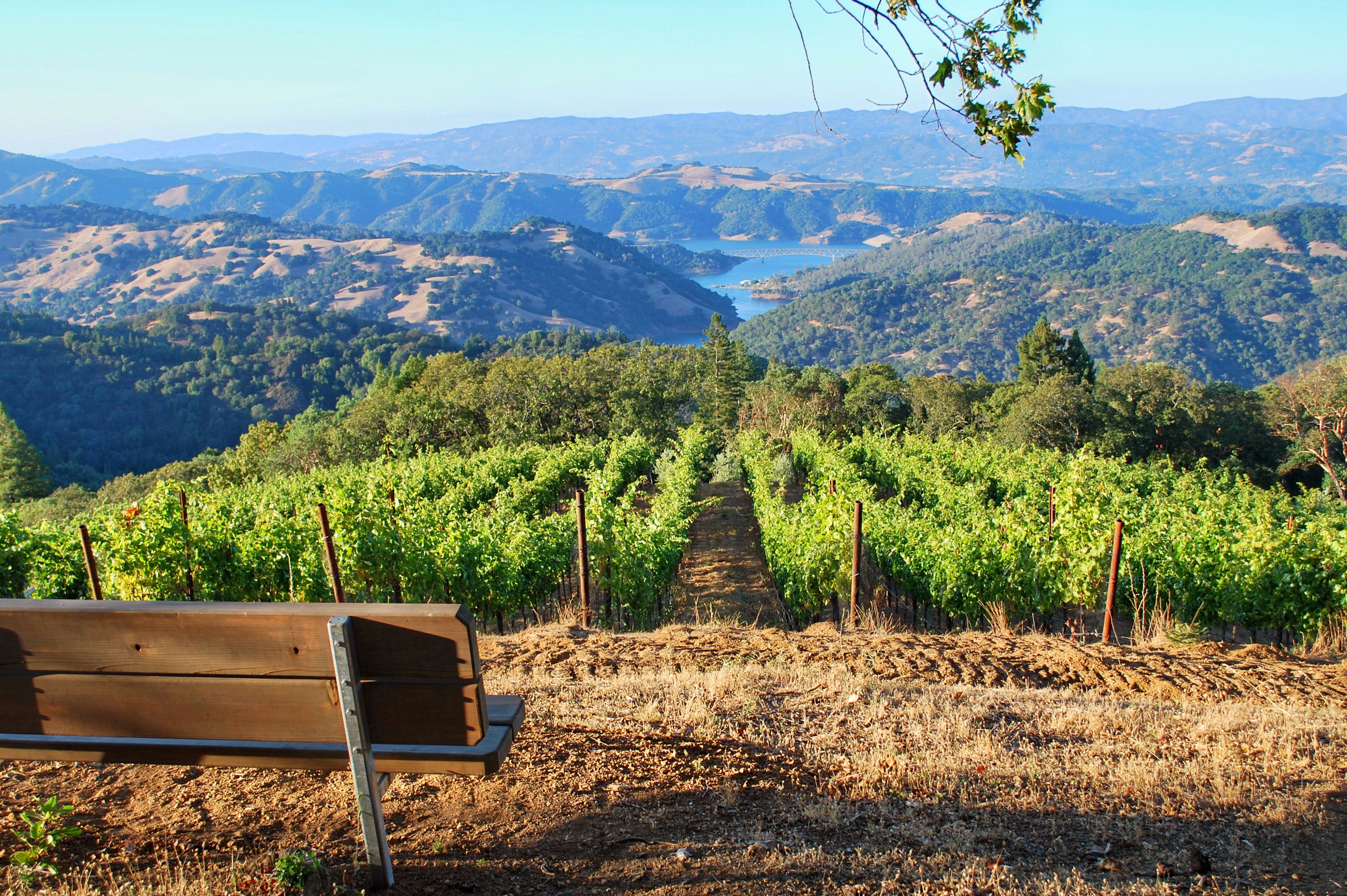 Malerische Weinberge im Sonoma County, Kalifornien