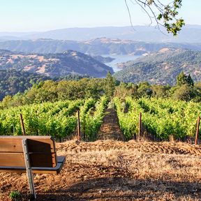 Aussicht von der Gustafson Picnic Area im Sonoma Valley