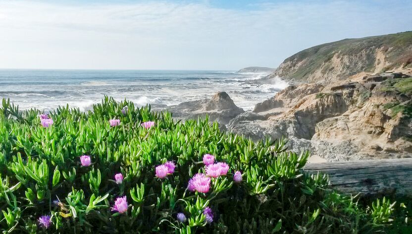 Die Küste des Sonoma Countys in Kalifornien Die Küste des Sonoma Countys in Kalifornien