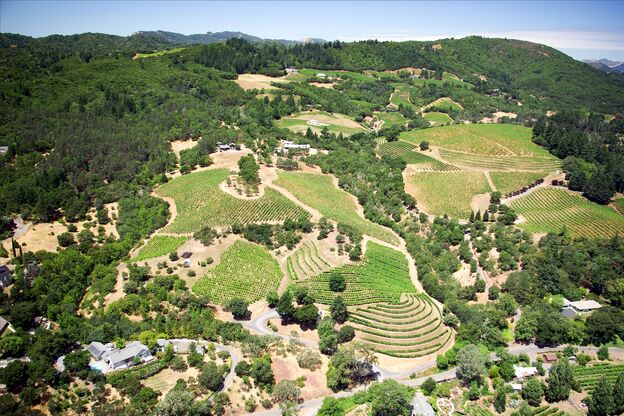 Luftaufnahme des Dry Creek Valleys im kalifornischen Sonoma County Luftaufnahme des Dry Creek Valleys im kalifornischen Sonoma County