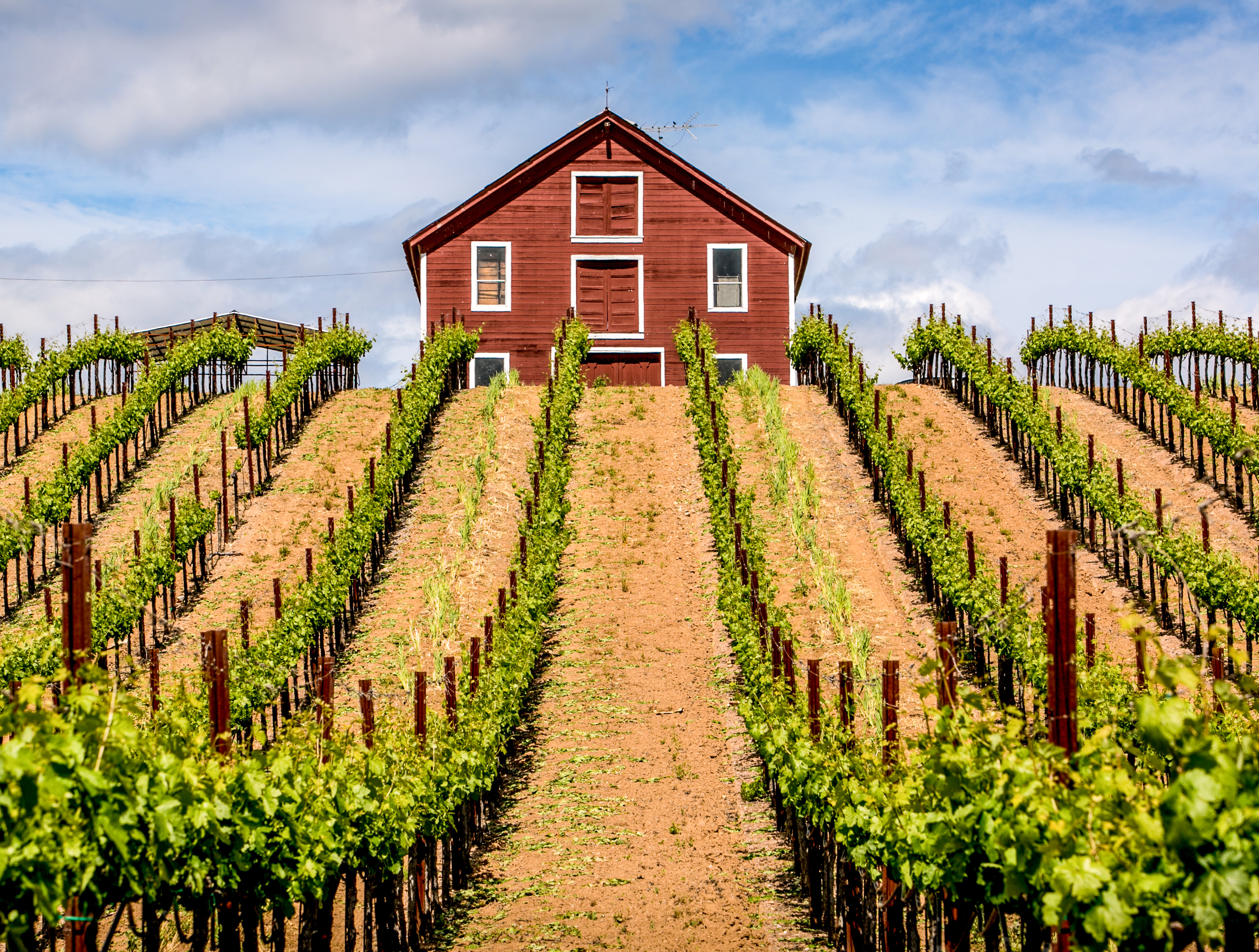 Eine Scheune im Dry Creek Valley im kalifornischen Sonoma County