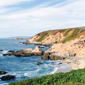 Die Bodega Head Landspitze im kalifornischen Sonoma County