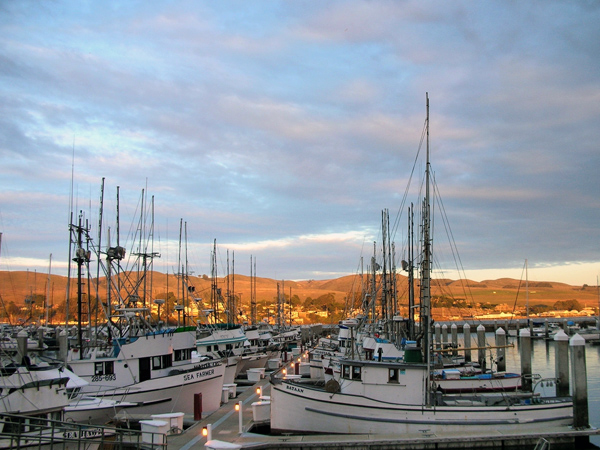 Sonoma County, Spud Point Marina