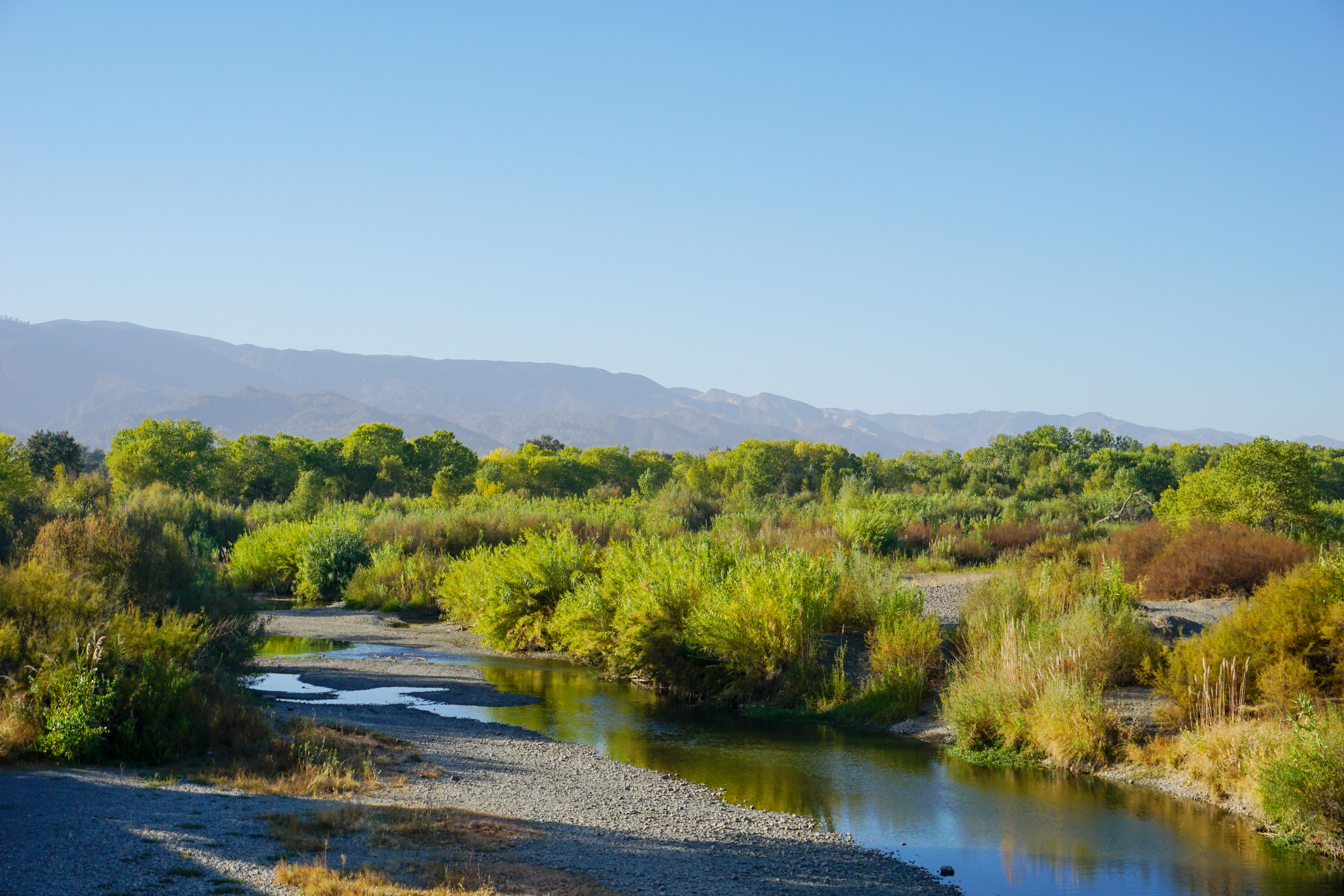 Natur im Cache Creek Canyon Regional Park