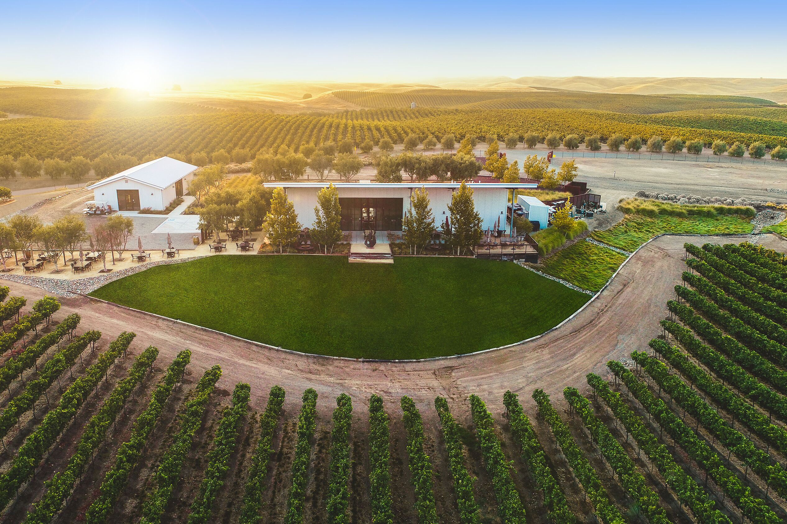 Verkostungsraum inmitten von Weinreben