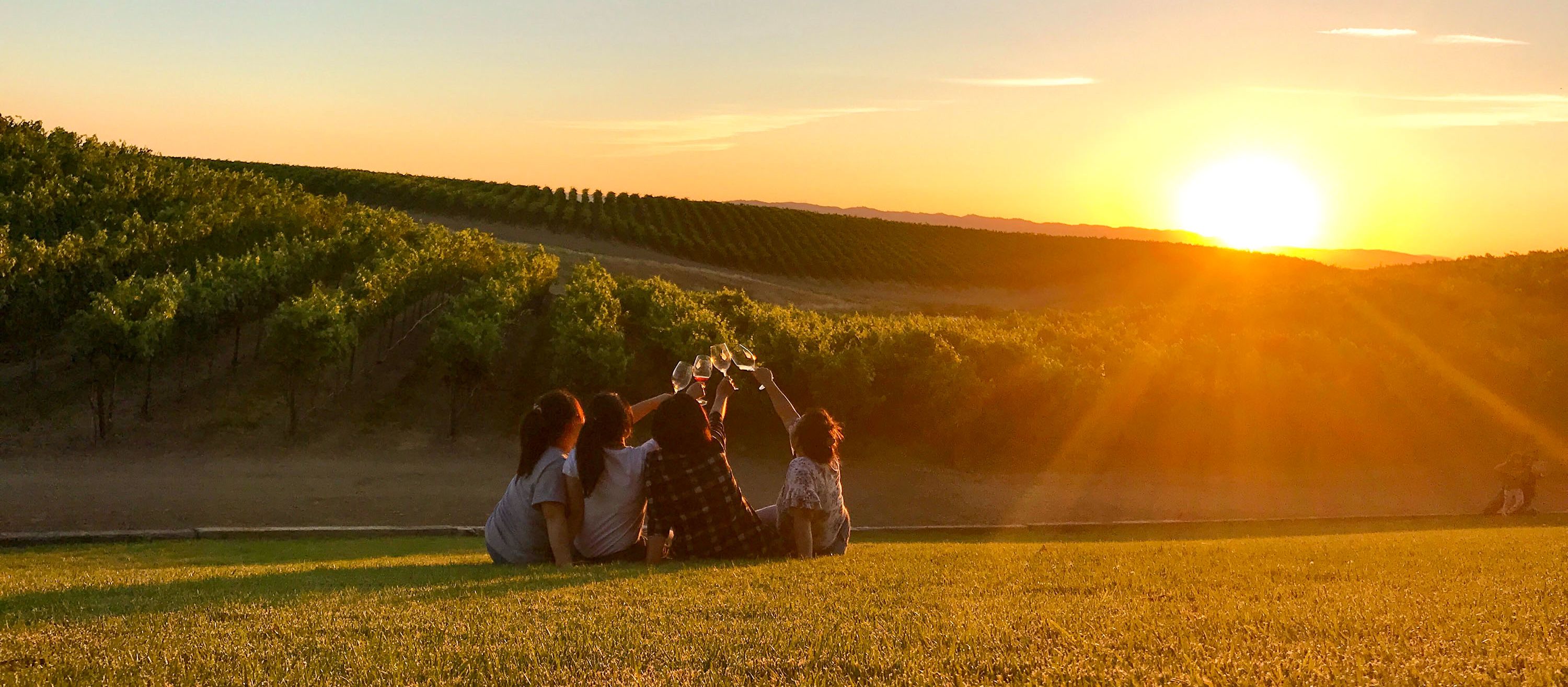 Freunde freuen sich auf ein Glas Wein bei Sonnenuntergang
