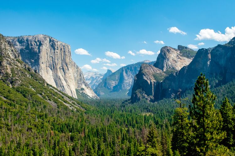 Traumhafte Natur im Yosemite National Park in Kalifornien