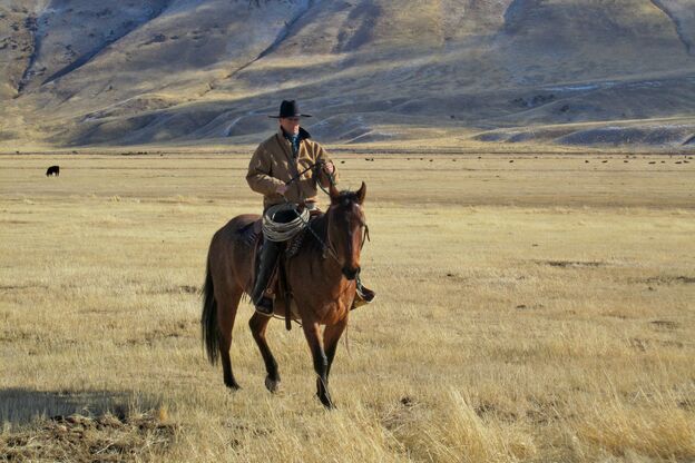 Reitender Cowboy in Elko, Nevada Reitender Cowboy in Elko, Nevada