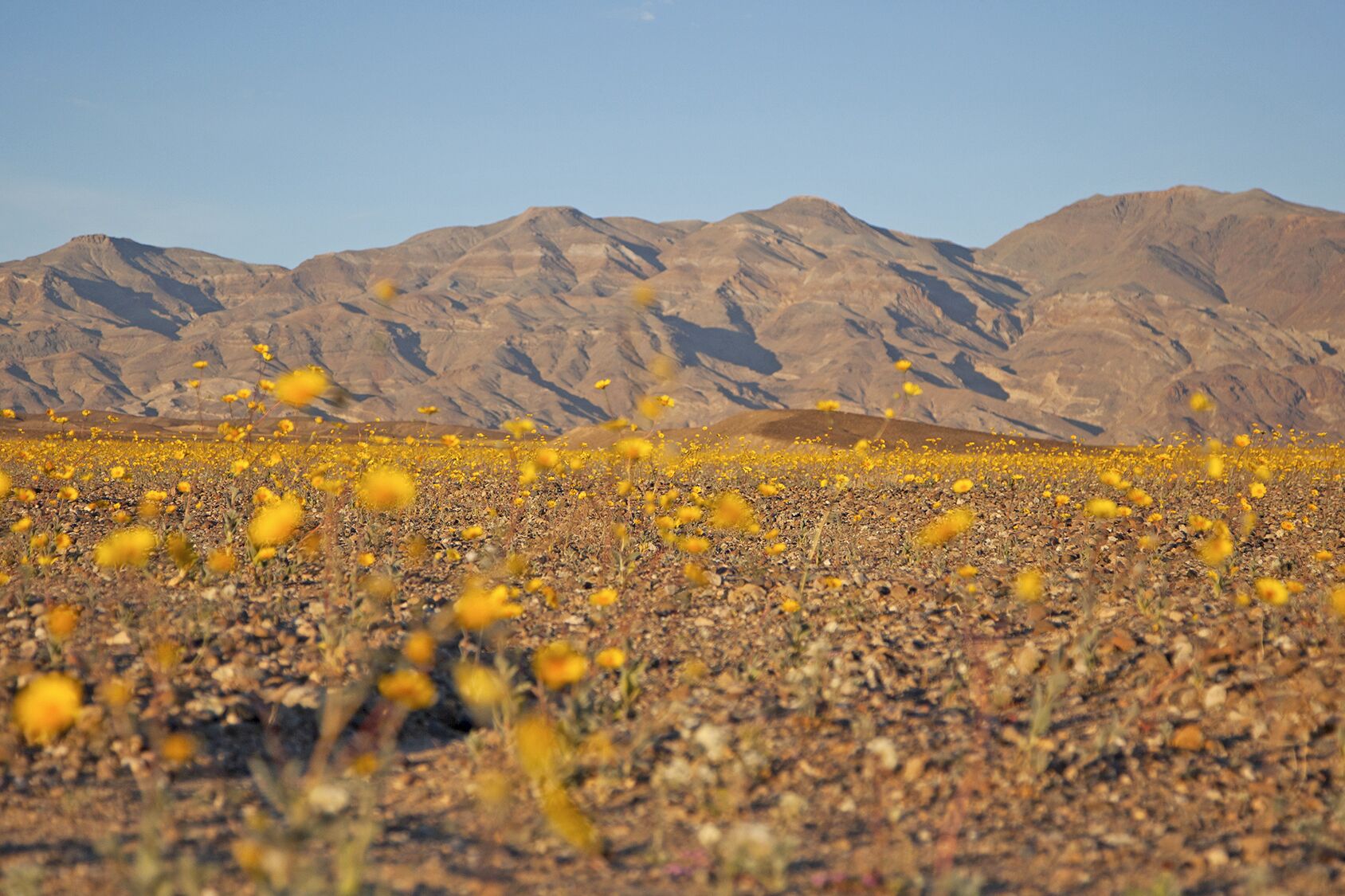 Impressionen des Death Valley Nationalpark