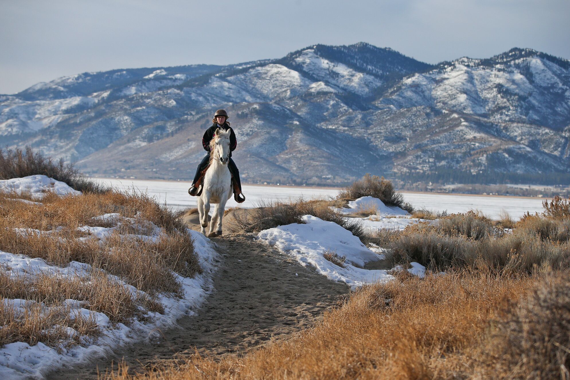 Pferdereiten im Washoe Valley