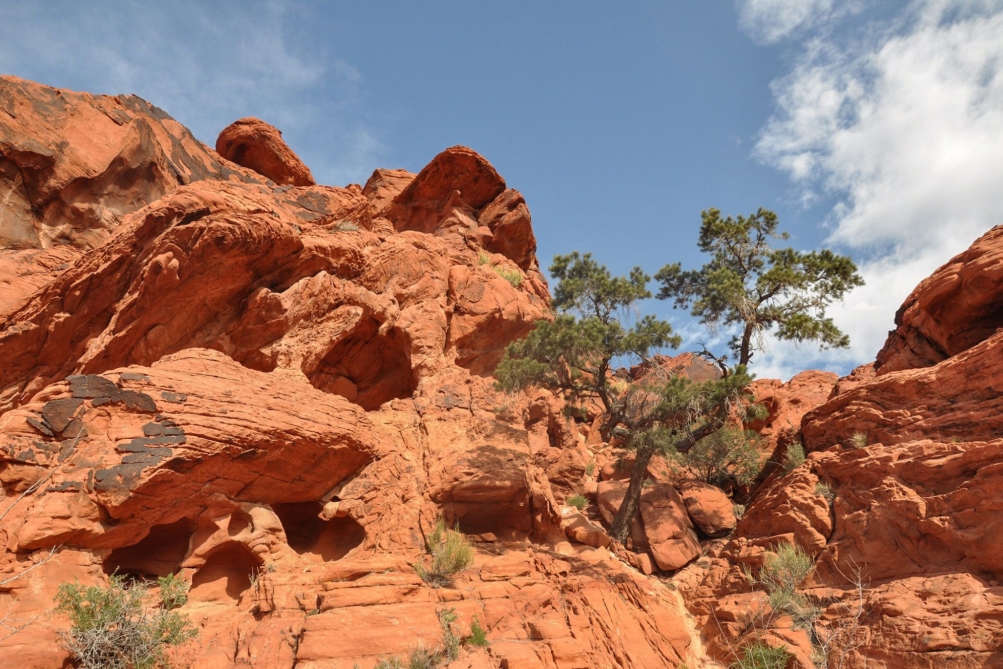 Immer einen Besuch wert - die Red Rock Canyon National Conservation Area in Nevada