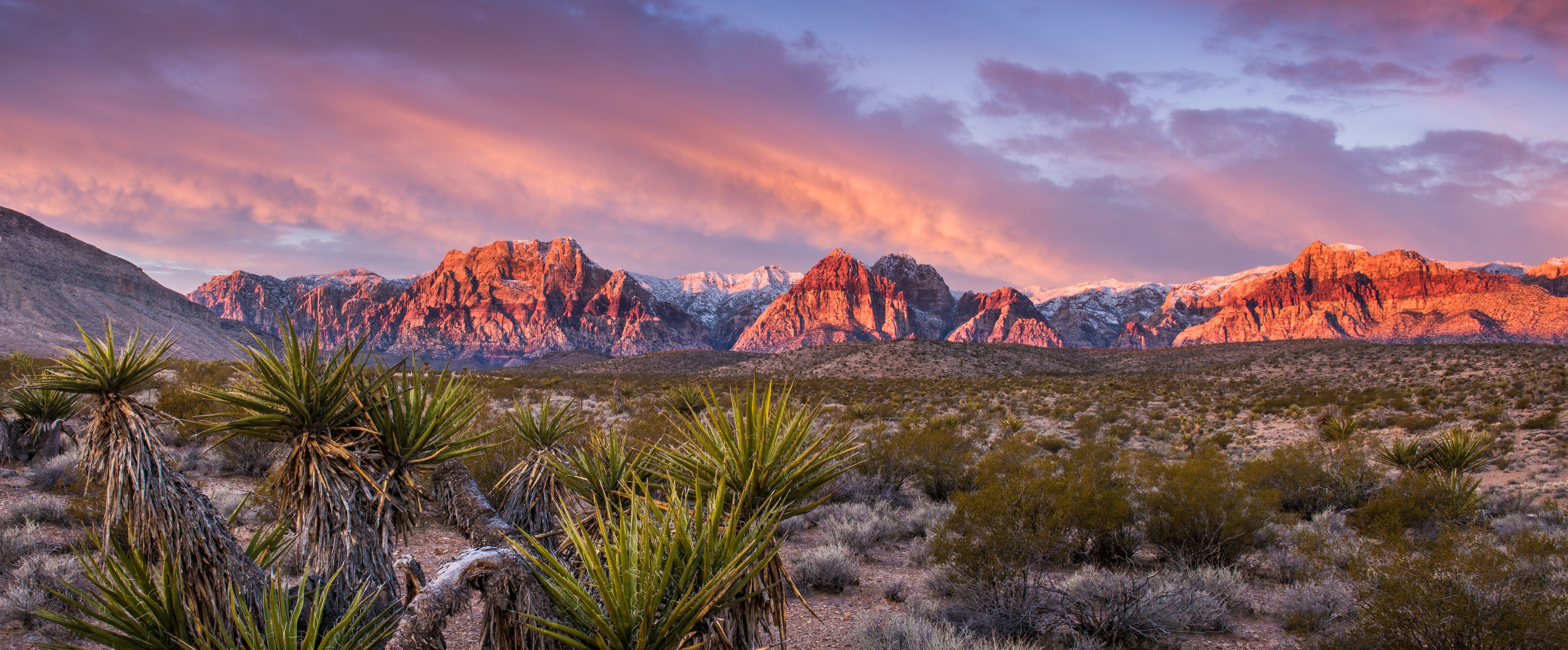 Sonnenaufgang am Red Rock Canyon in Nevada