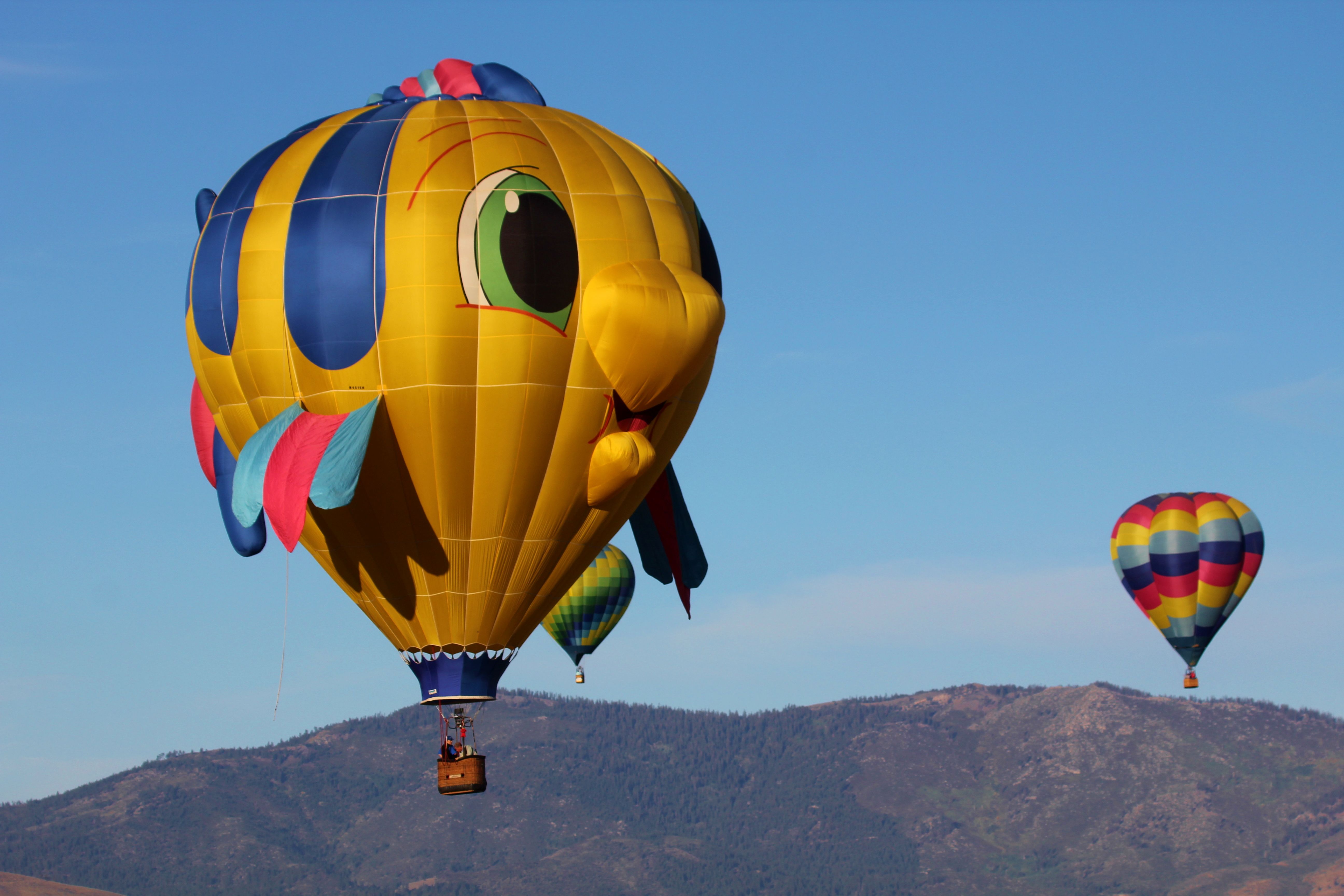Reno Balloon Race