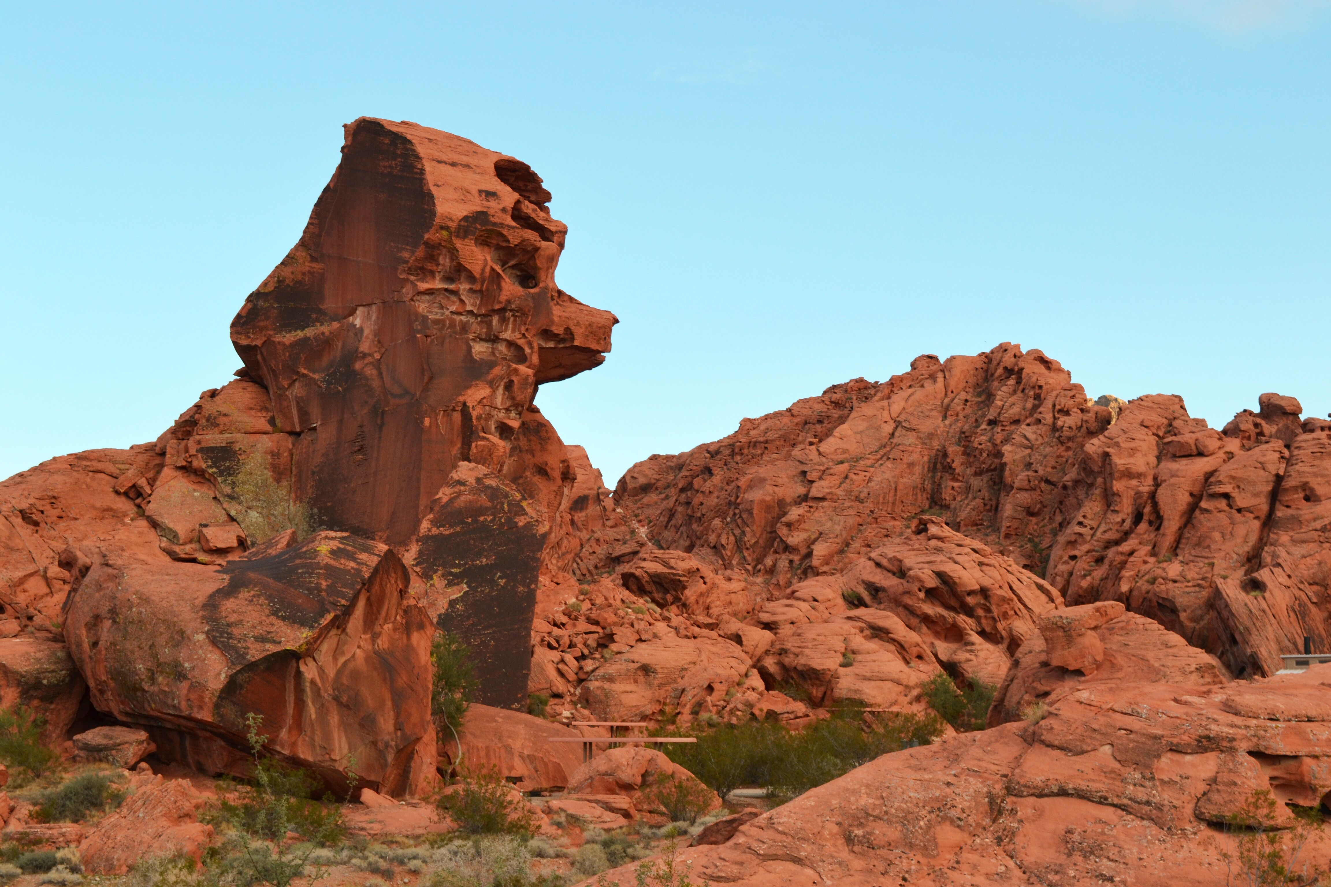 Hund-Felsformation im Valley of Fire, Nevada