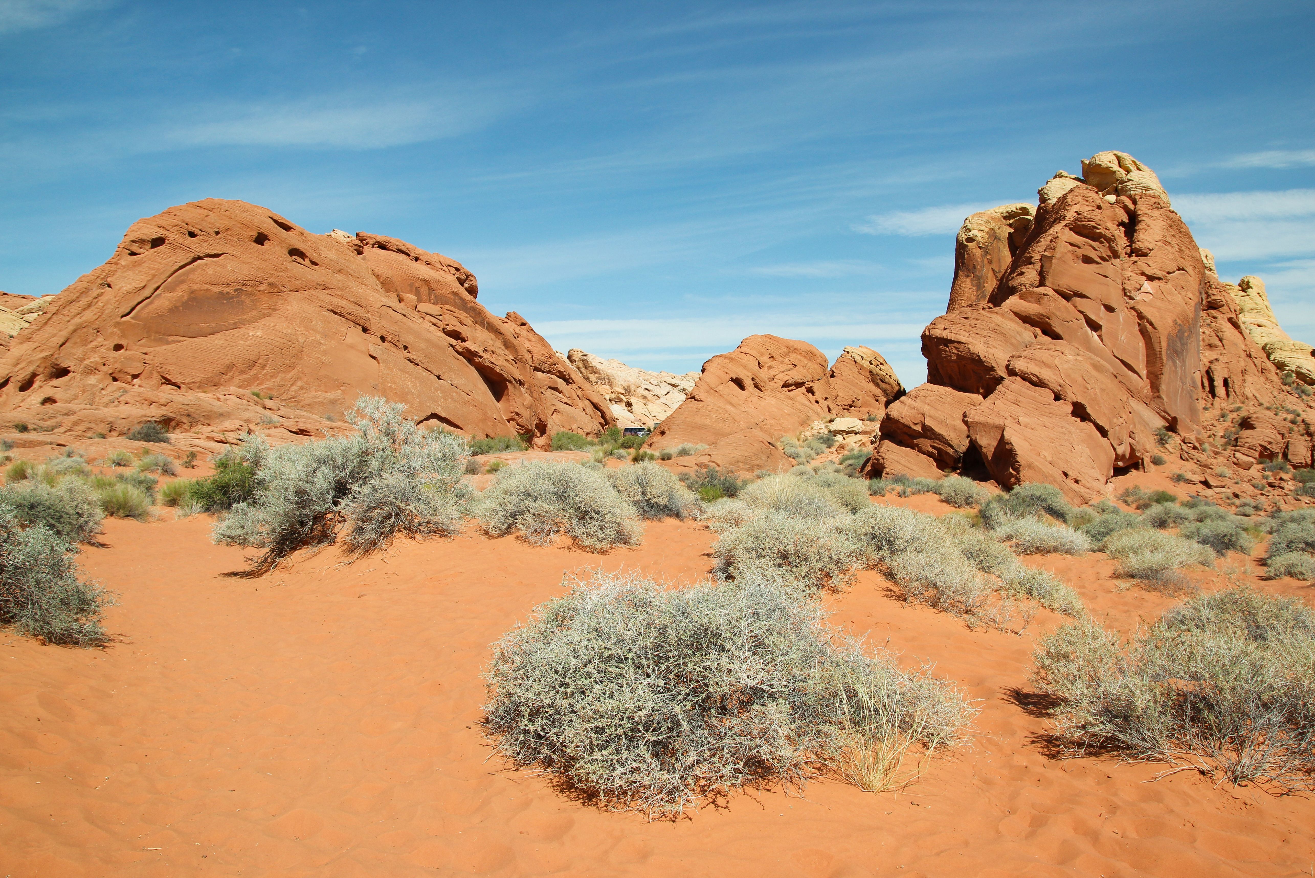 Herrliche Kontraste im Valley of Fire