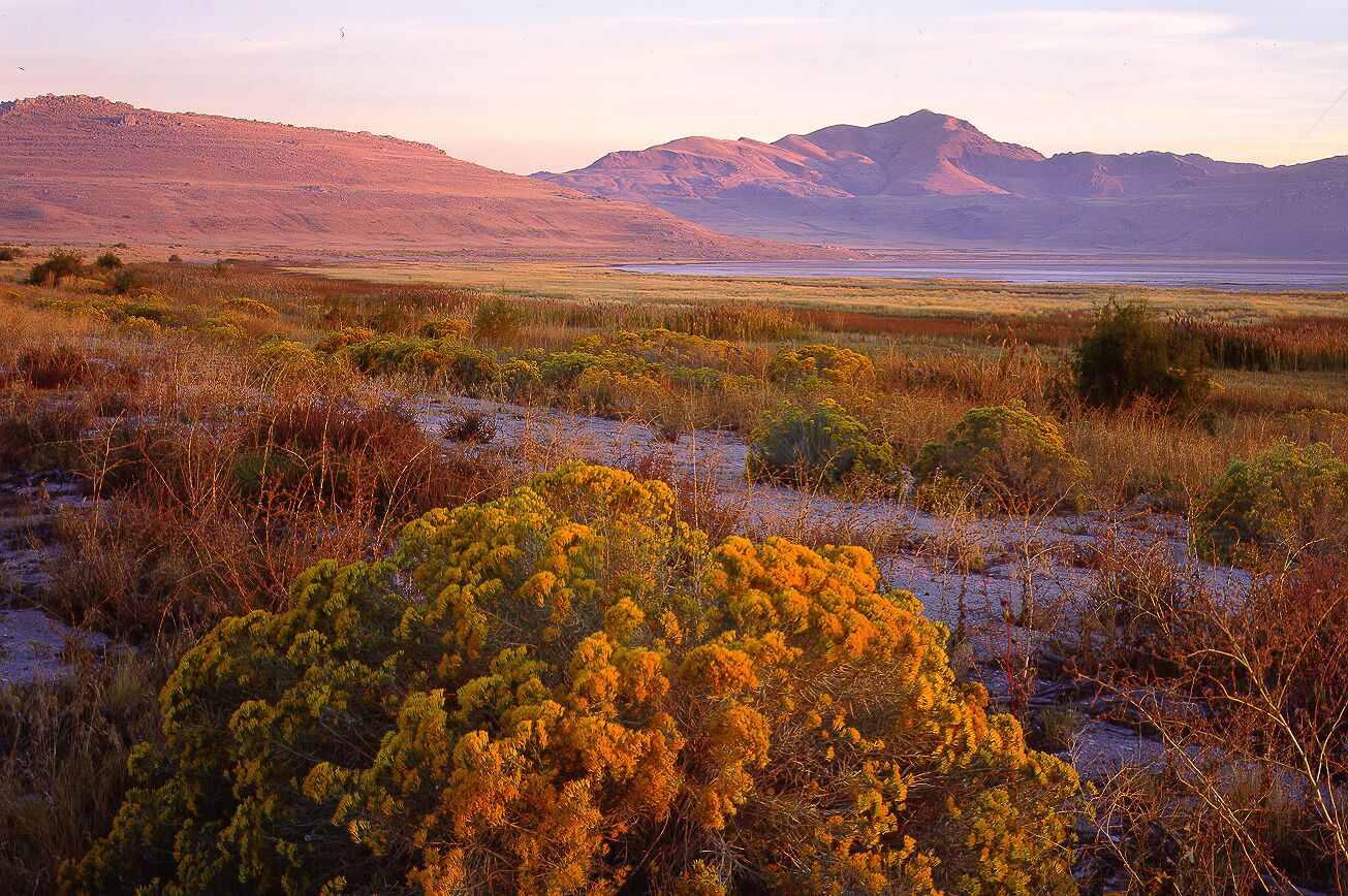 Antelope Island State Park in Utah