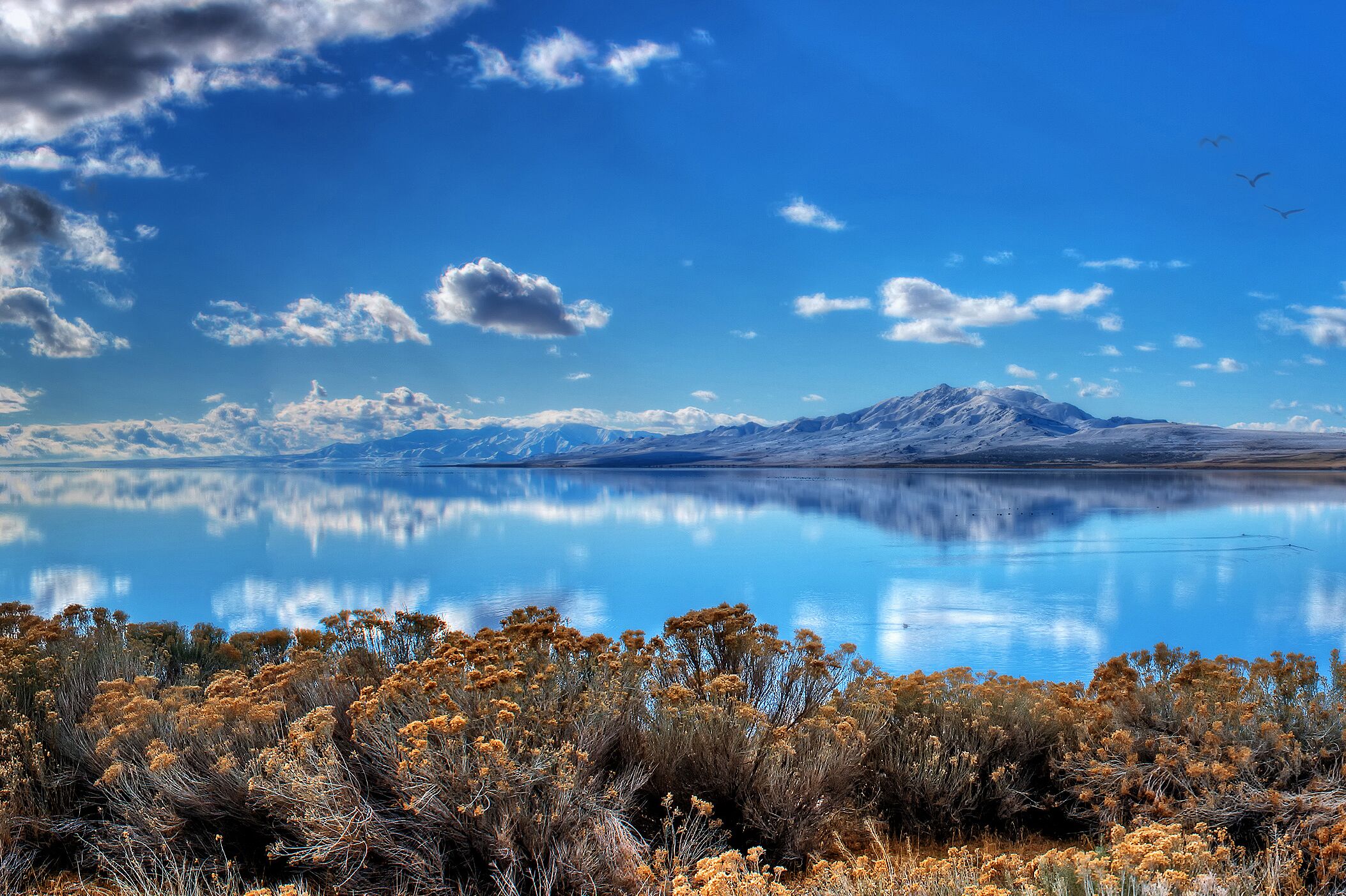 Antelope Island State Park in Utah