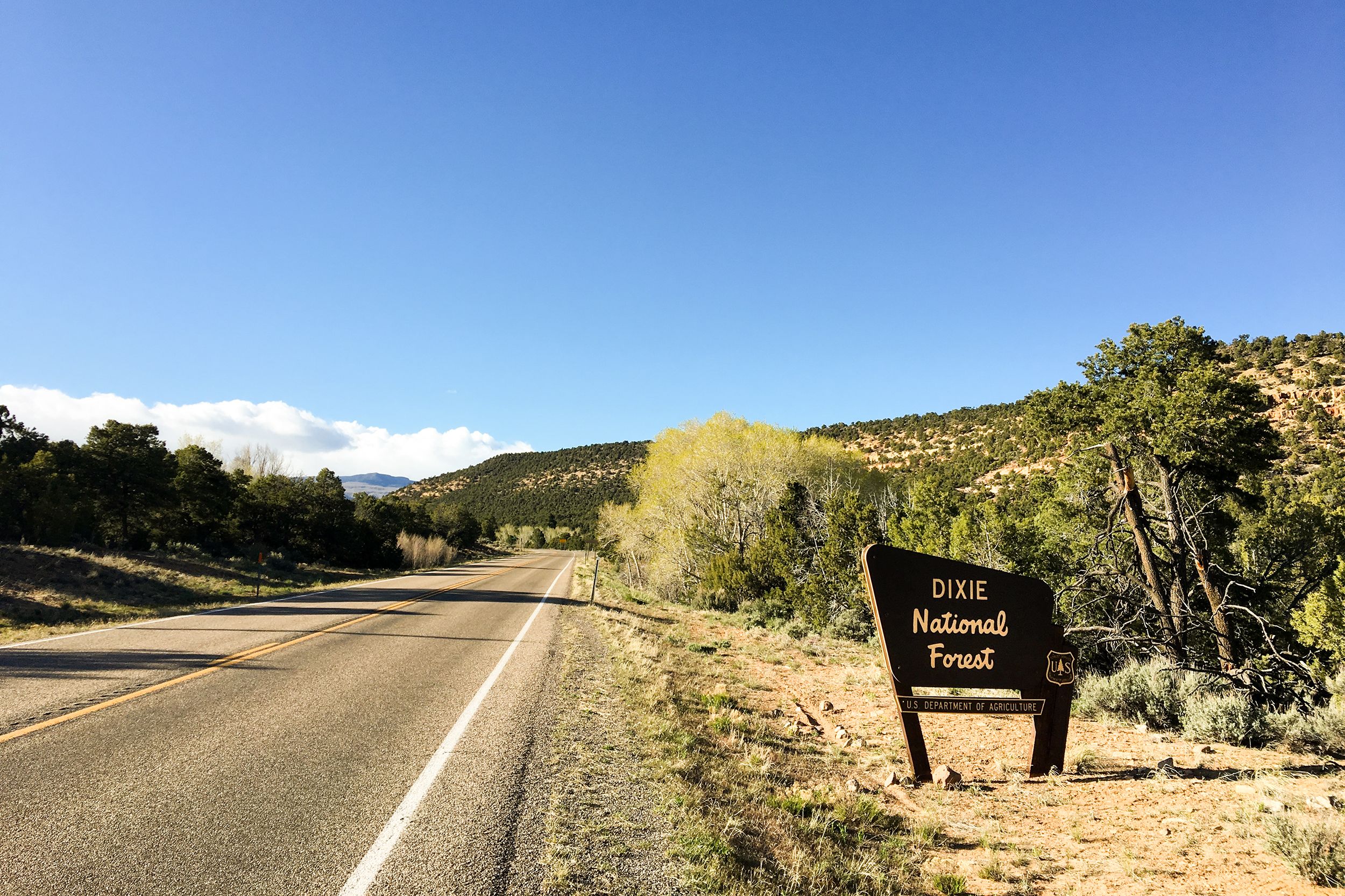 Informationsschild im Dixie National Forest in Utah