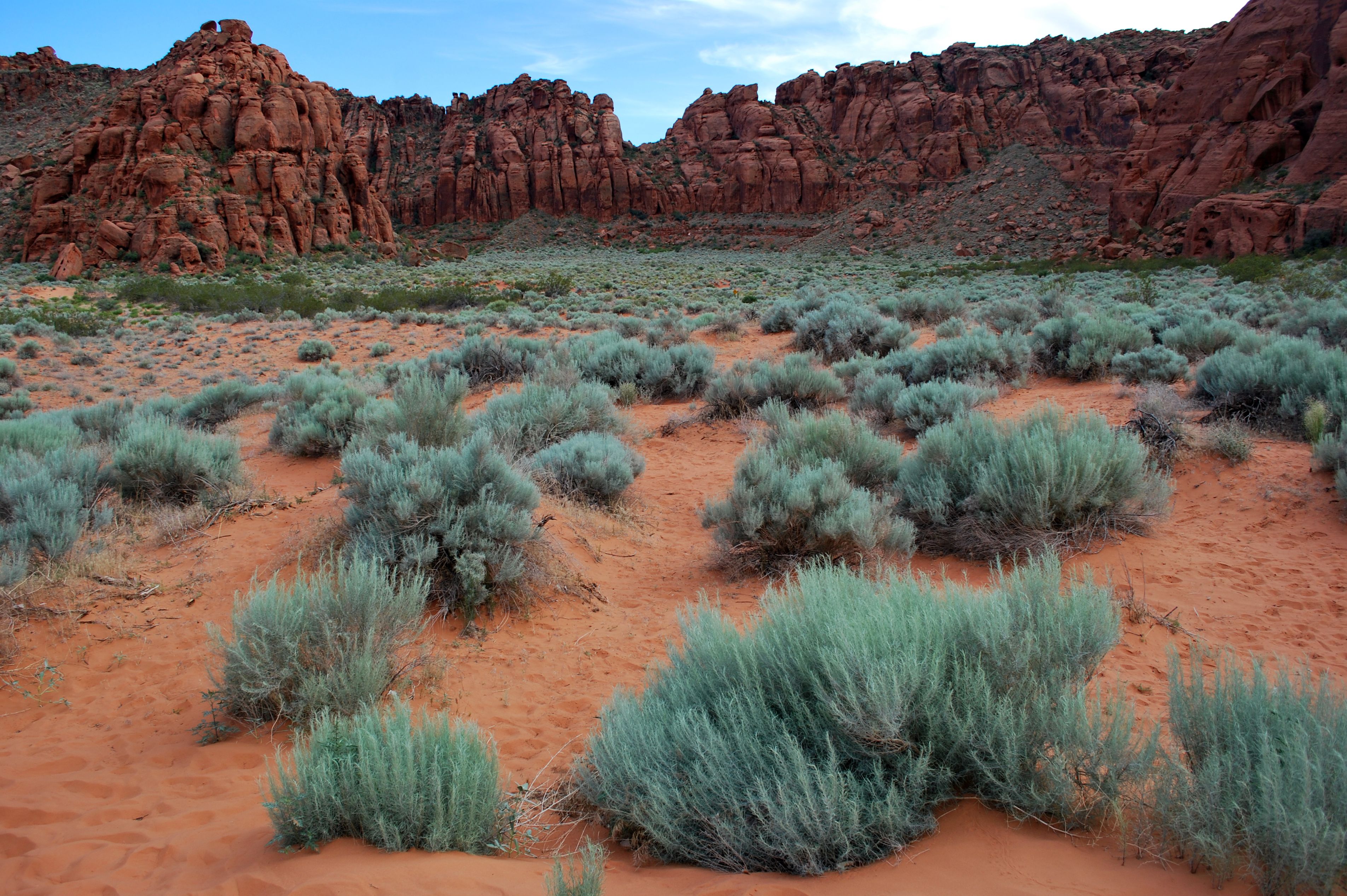 Snow Canyon, St. George