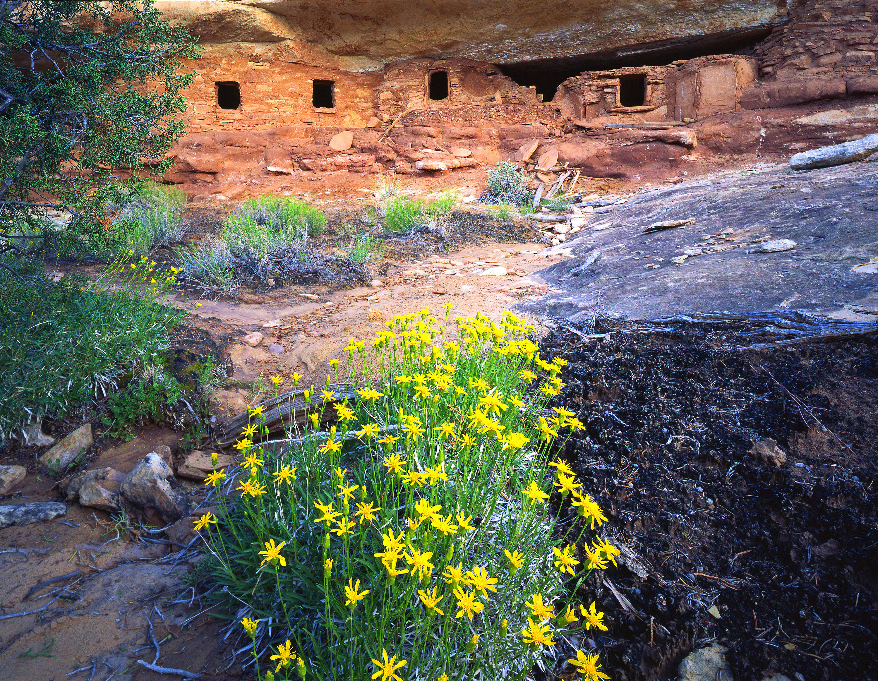 Anasazi Ruinen in Utah