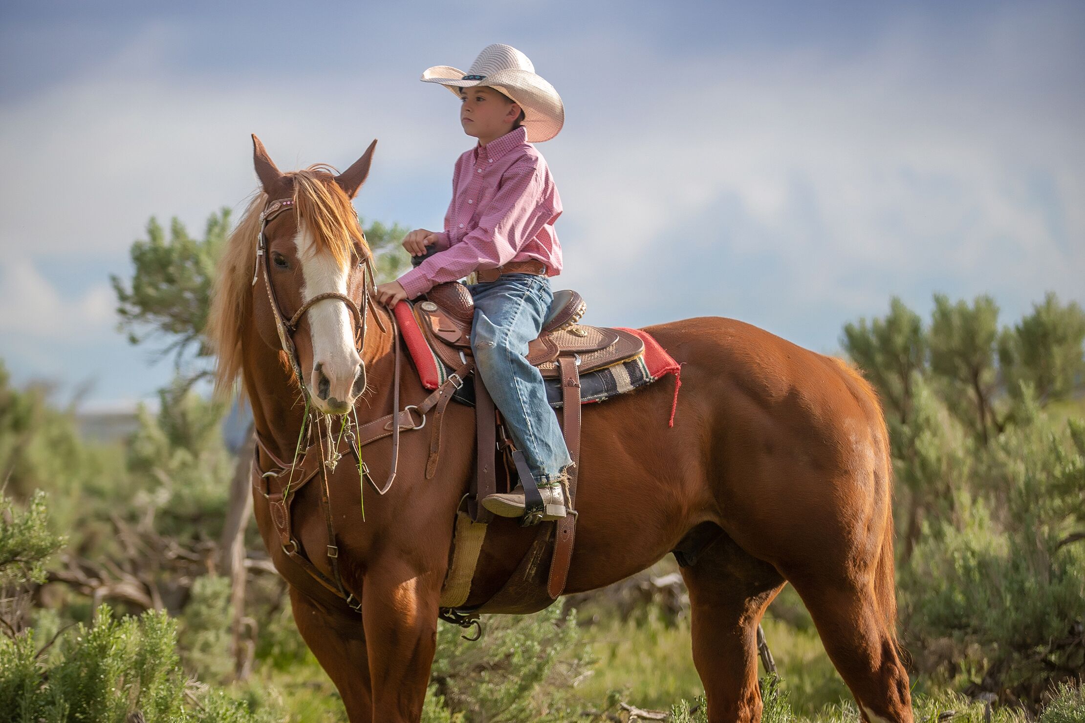 Ein kleiner Cowboy in Utah