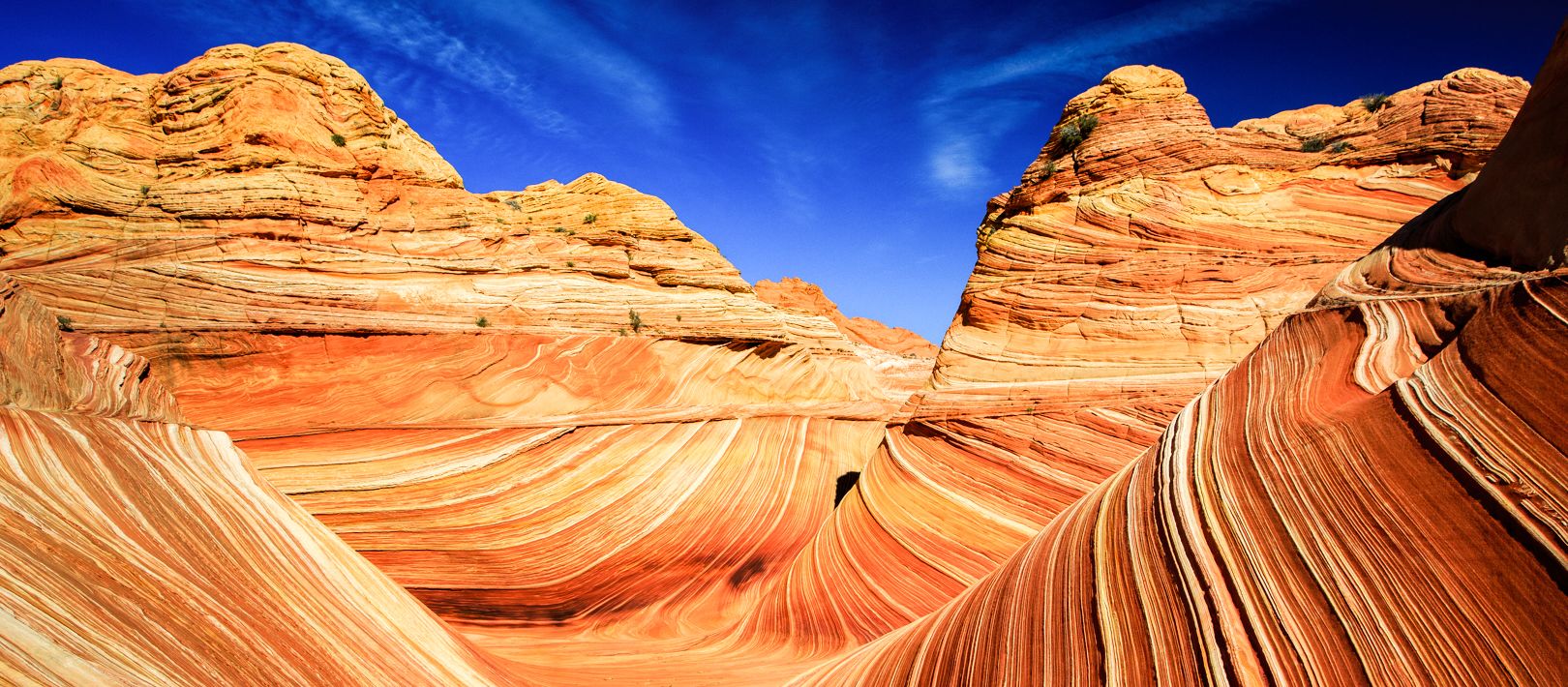 The Wave in den Coyote Buttes in Utah