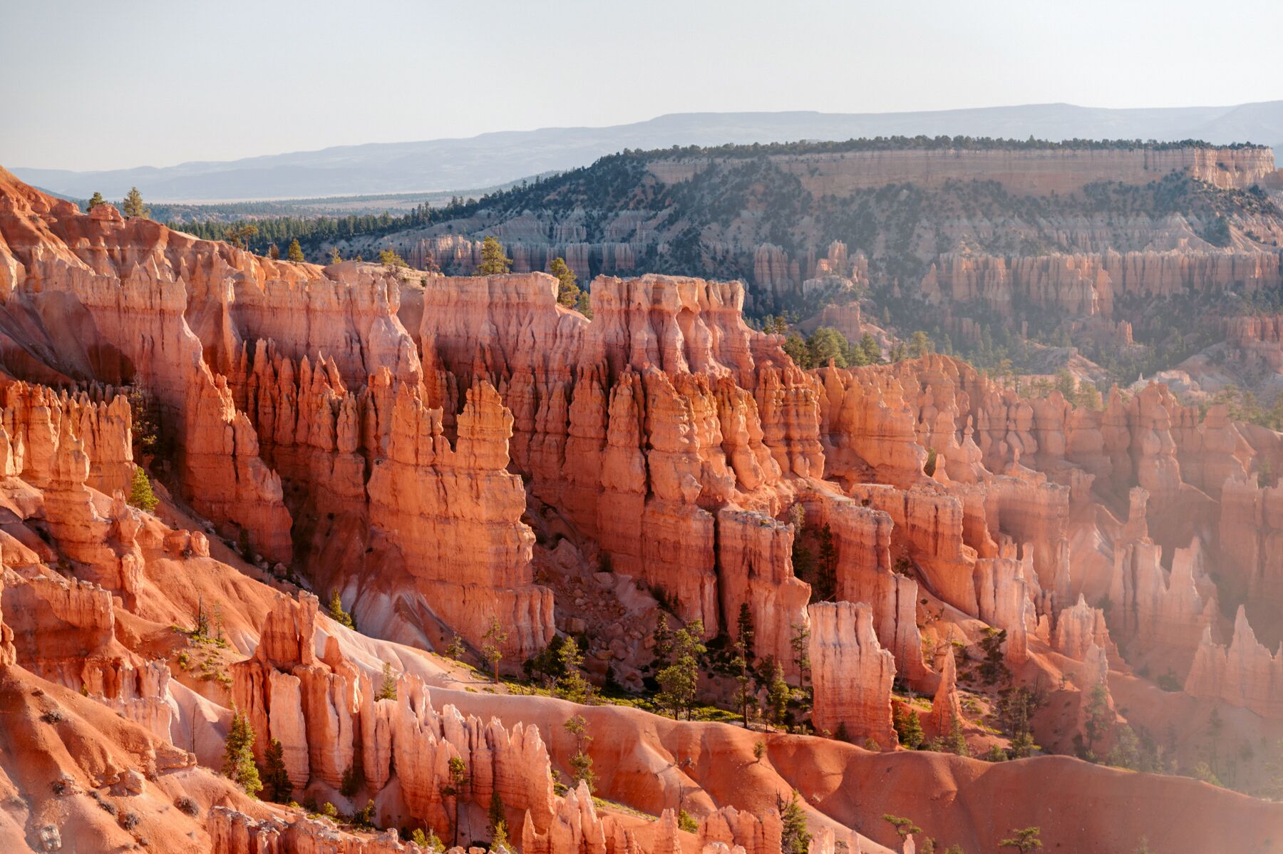 Der imposante Bryce Canyon in Utah im Morgenlicht