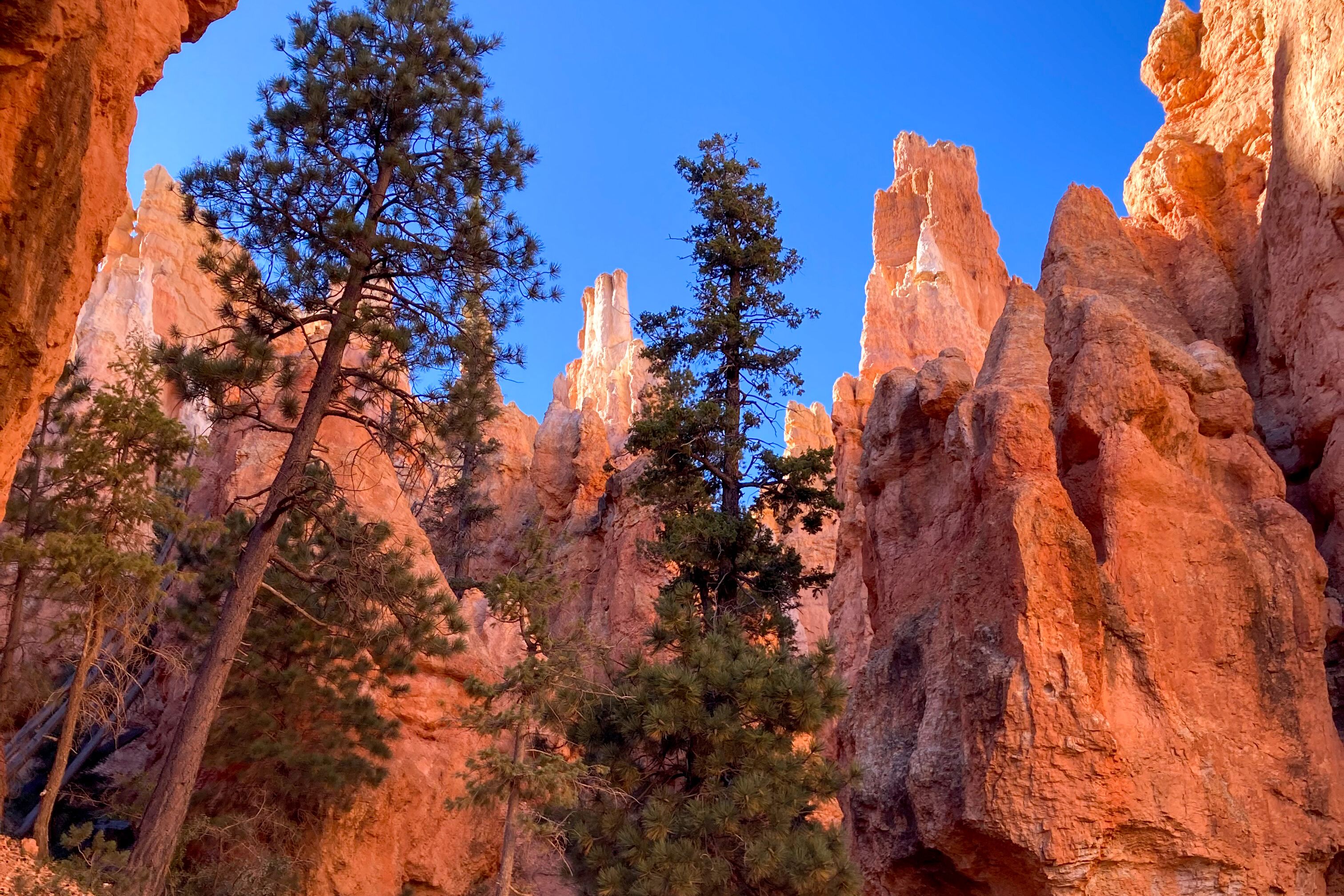 Felsen im Bryce Canyon