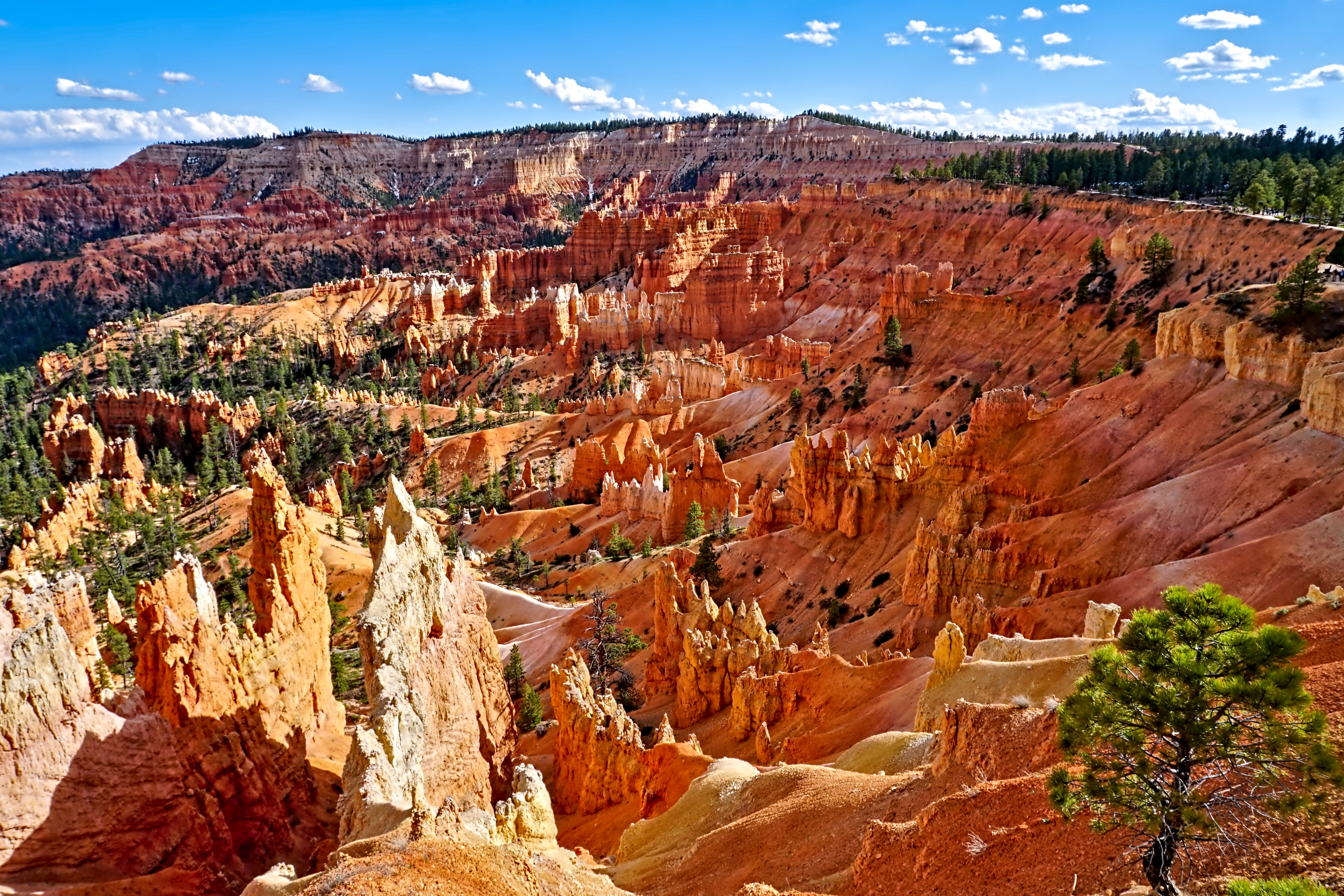 Blick über den Bryce Canyon Nationalpark, Utah