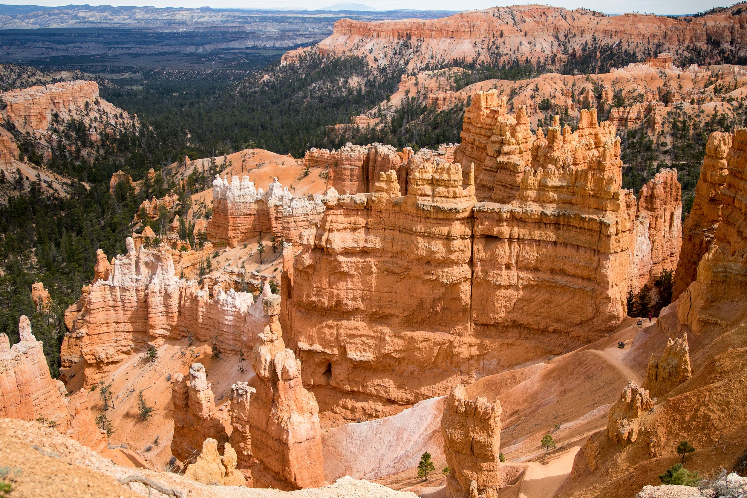 Aussicht auf den Bryce Canyon National Park in Utah