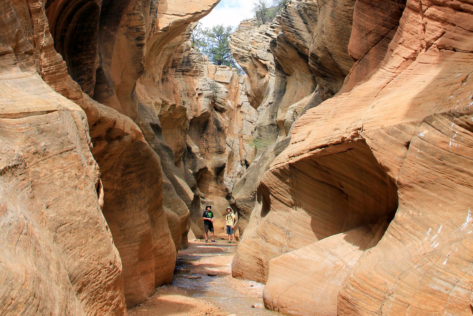In einer Schlucht im Bryce Canyon Nationalpark in Utah
