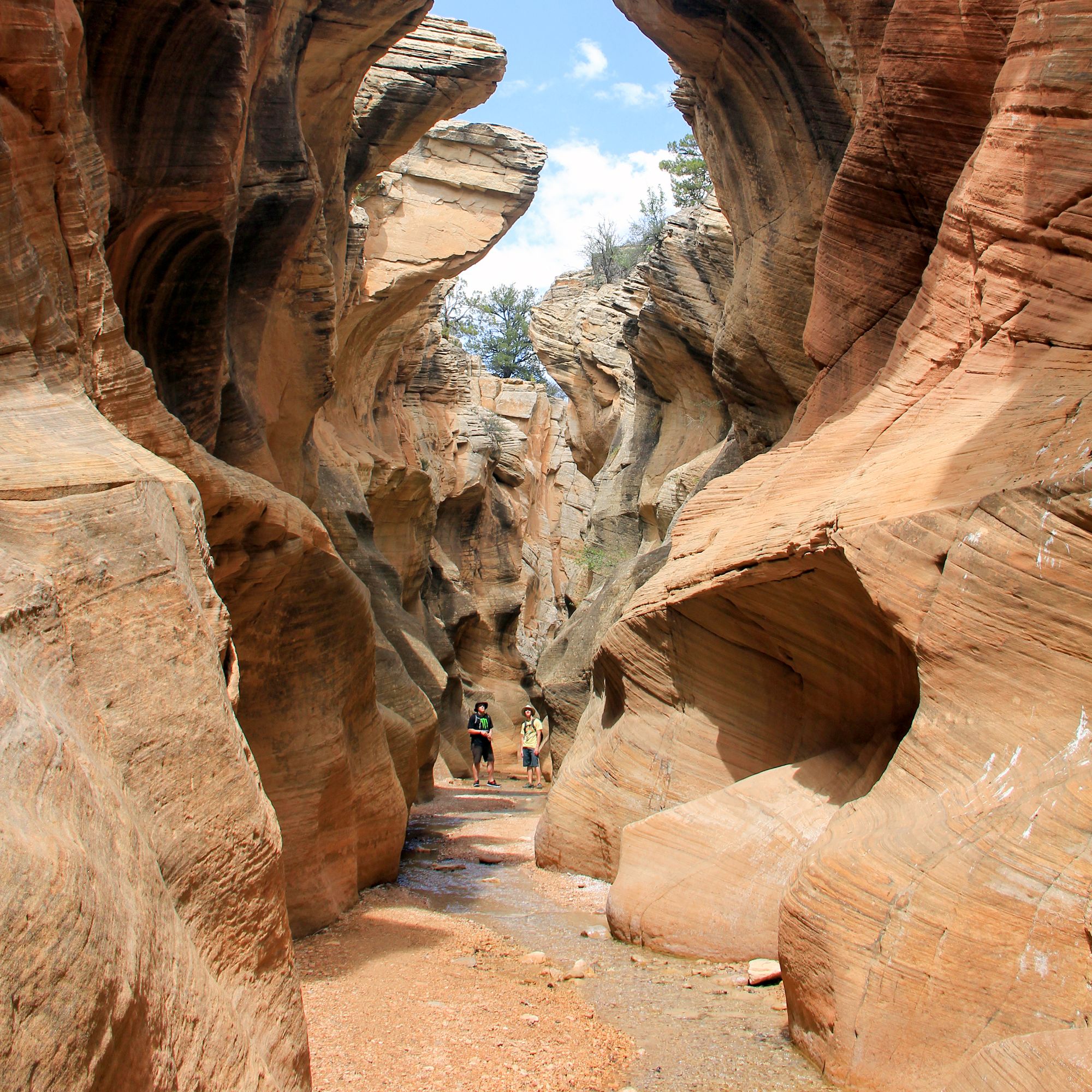 In einer Schlucht im Bryce Canyon Nationalpark in Utah