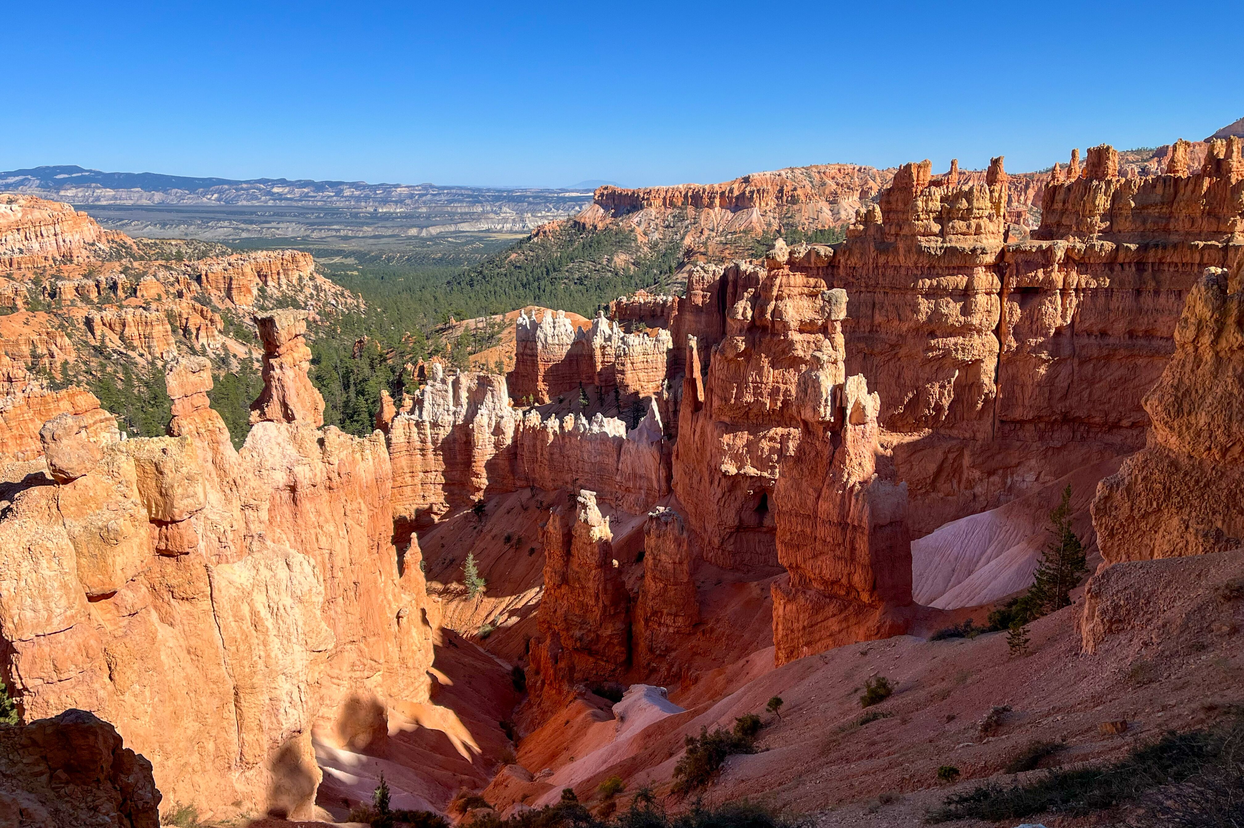 Felsformationen im Bryce Canyon