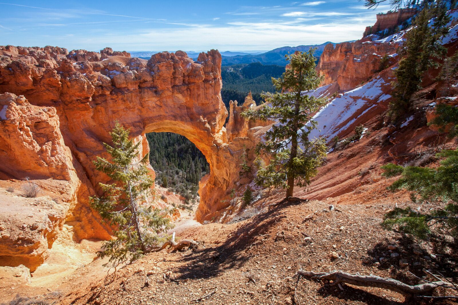 Natural Arch in der Natur des Bryce Canyon Nationalparks in Utah