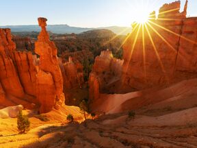 Spektakuläre Aussicht auf dem Navajo Loop Trail