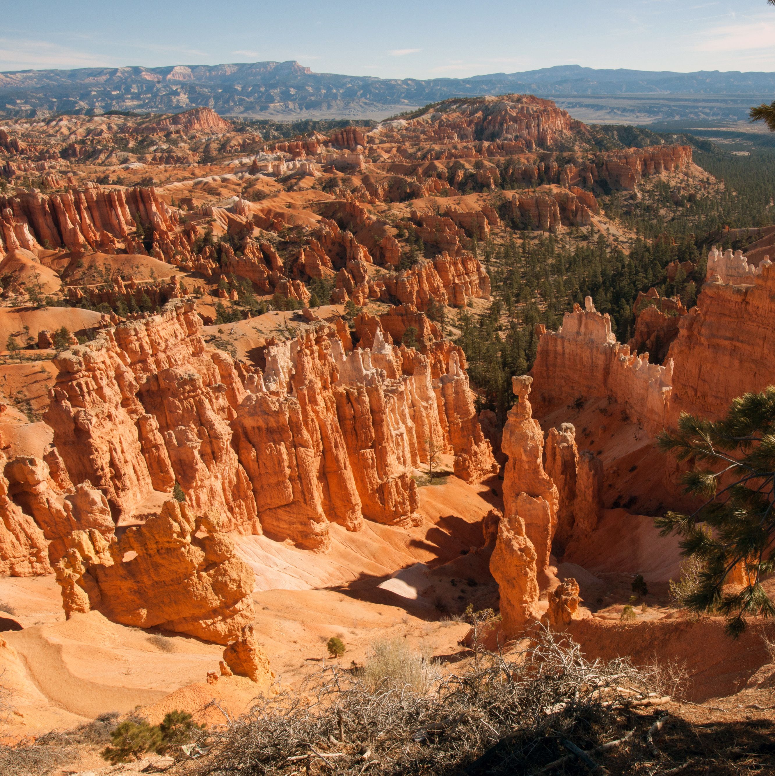 Thors Hammer and the Amphitheater, Bryce Canyon National Park