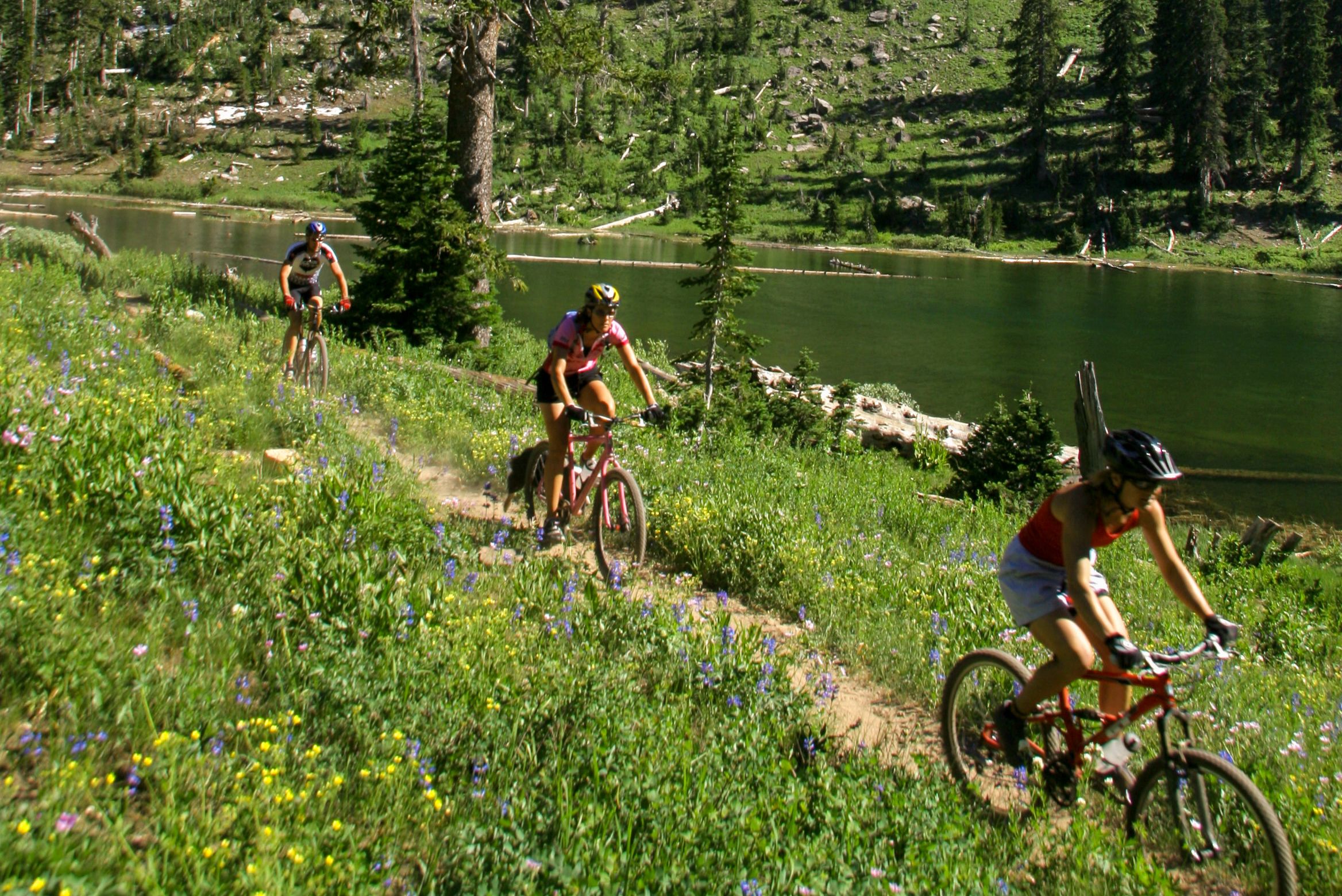 Mountainbiker genießen die Landschaft am White Pine Lake im Cache Valley in Utah