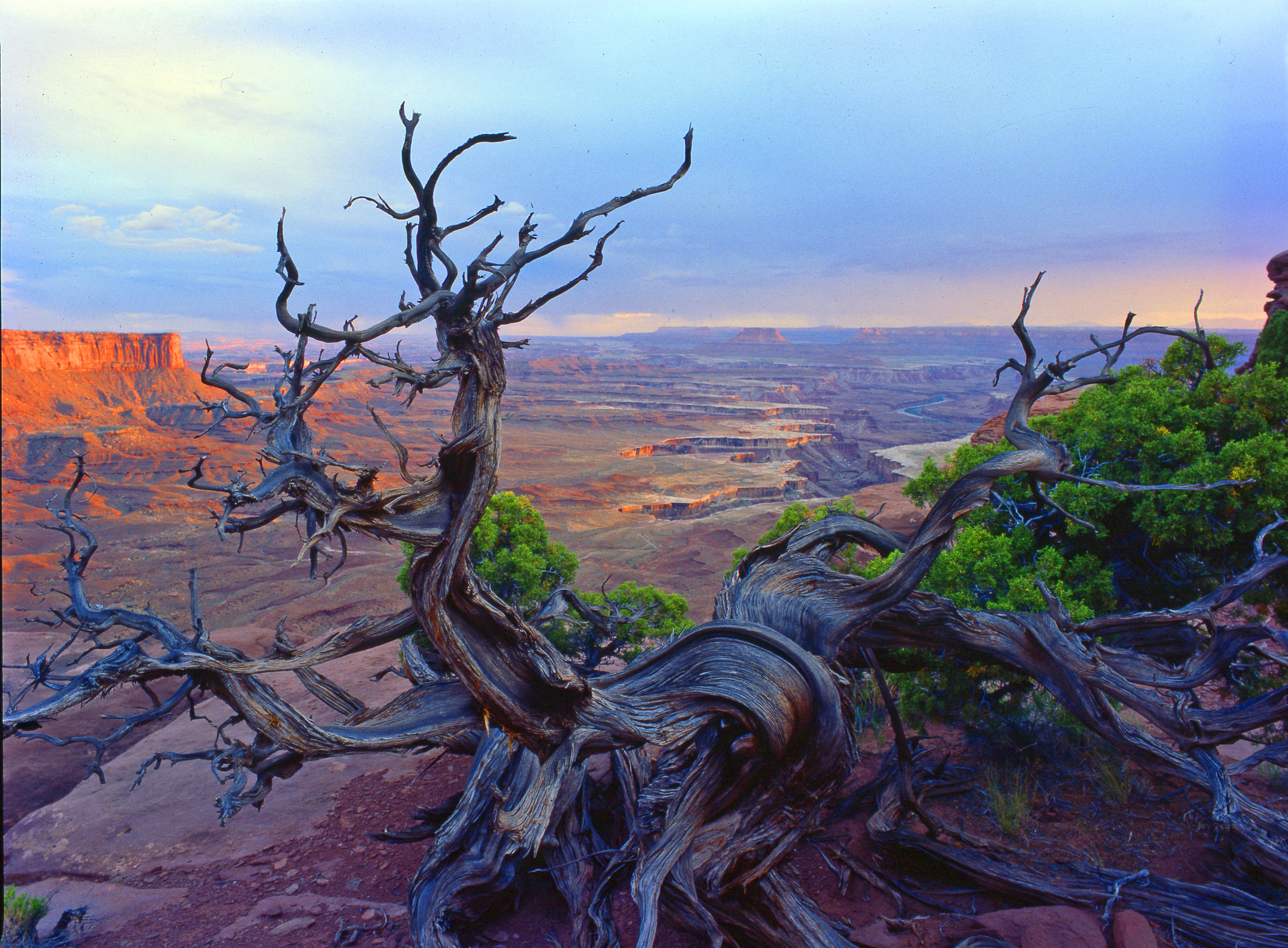 Island in the Sky Overlook, Canyonlands National Park