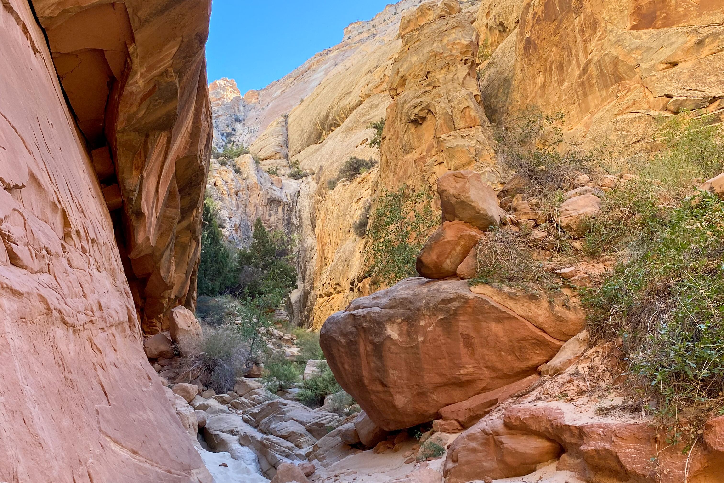 Landschaft im Capitol-Reef-Nationalpark