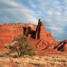regionen/usa/suedwesten/utah/capitol-reef-nationalpark/chimney-rock-plain.cr1665x1666-0x0 regionen/usa/suedwesten/utah/capitol-reef-nationalpark/chimney-rock-plain.cr1665x1666-0x0